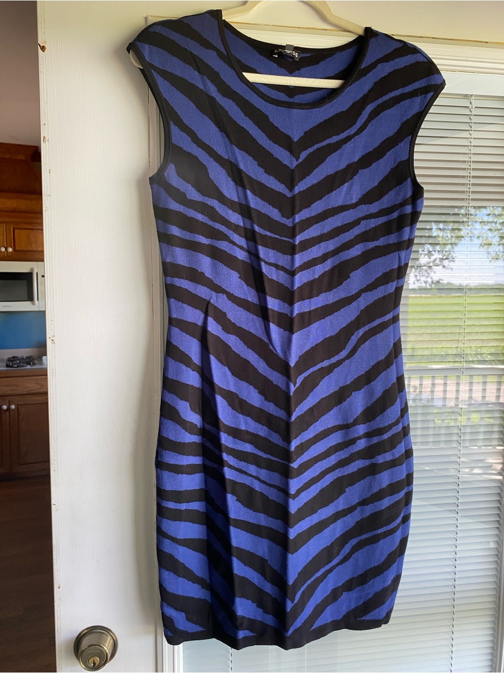 Express blue and black zebra print dress
